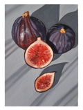 "Figs" - Print