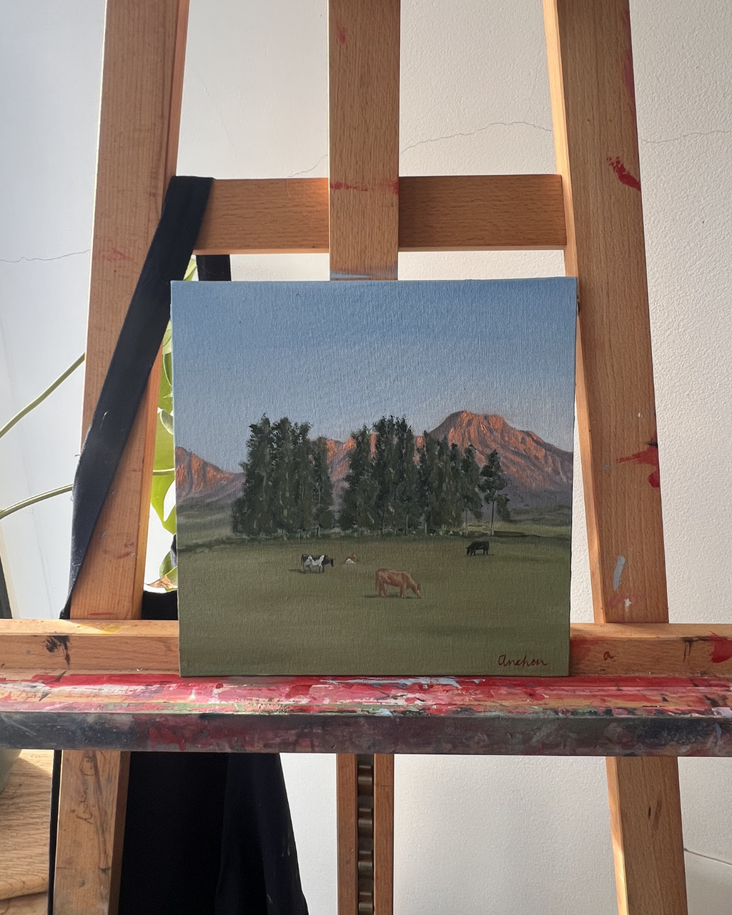 "Morning at Saronsberg" - Original (25.4 x 25.4cm)