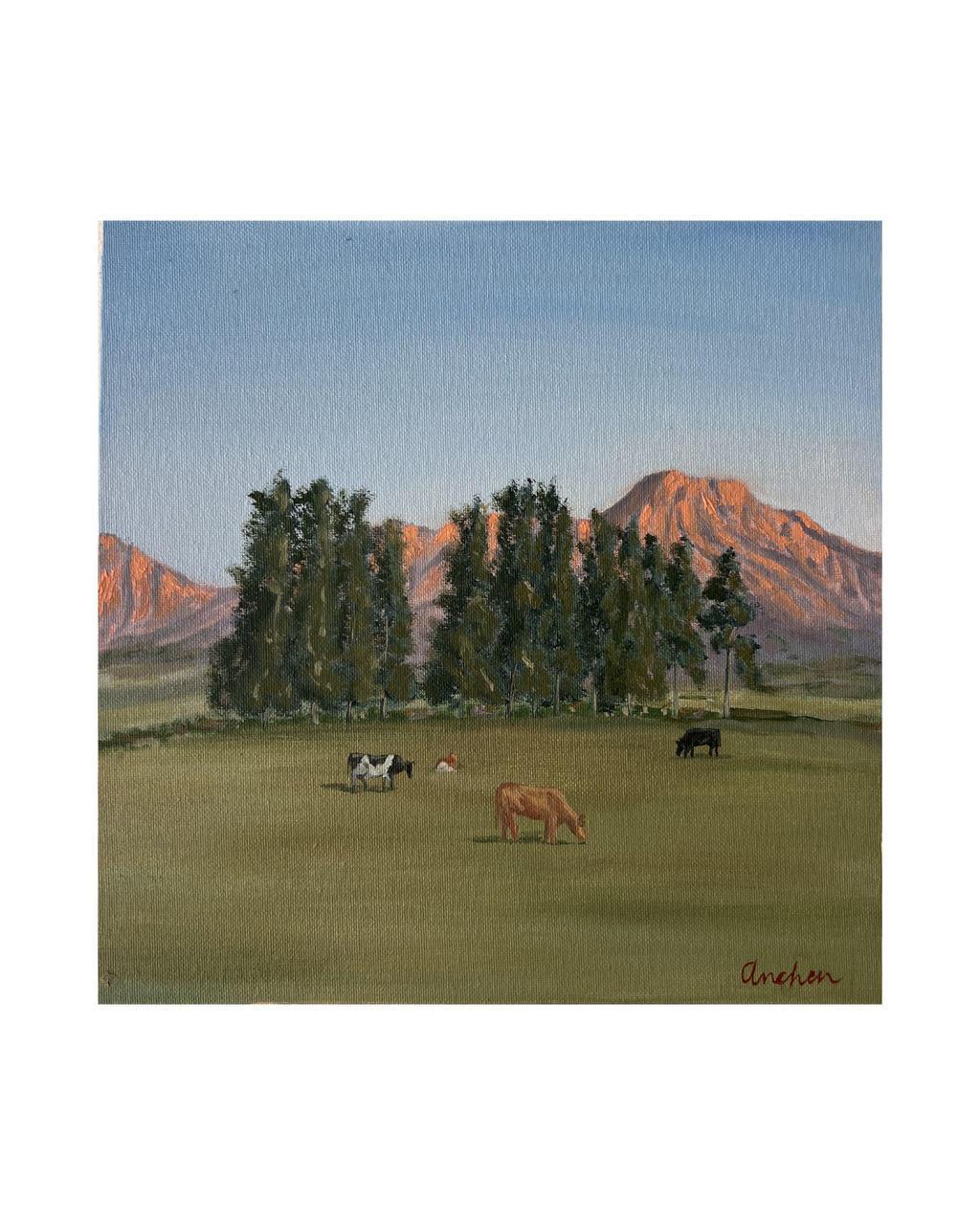 "Morning at Saronsberg" - Original (25.4 x 25.4cm)