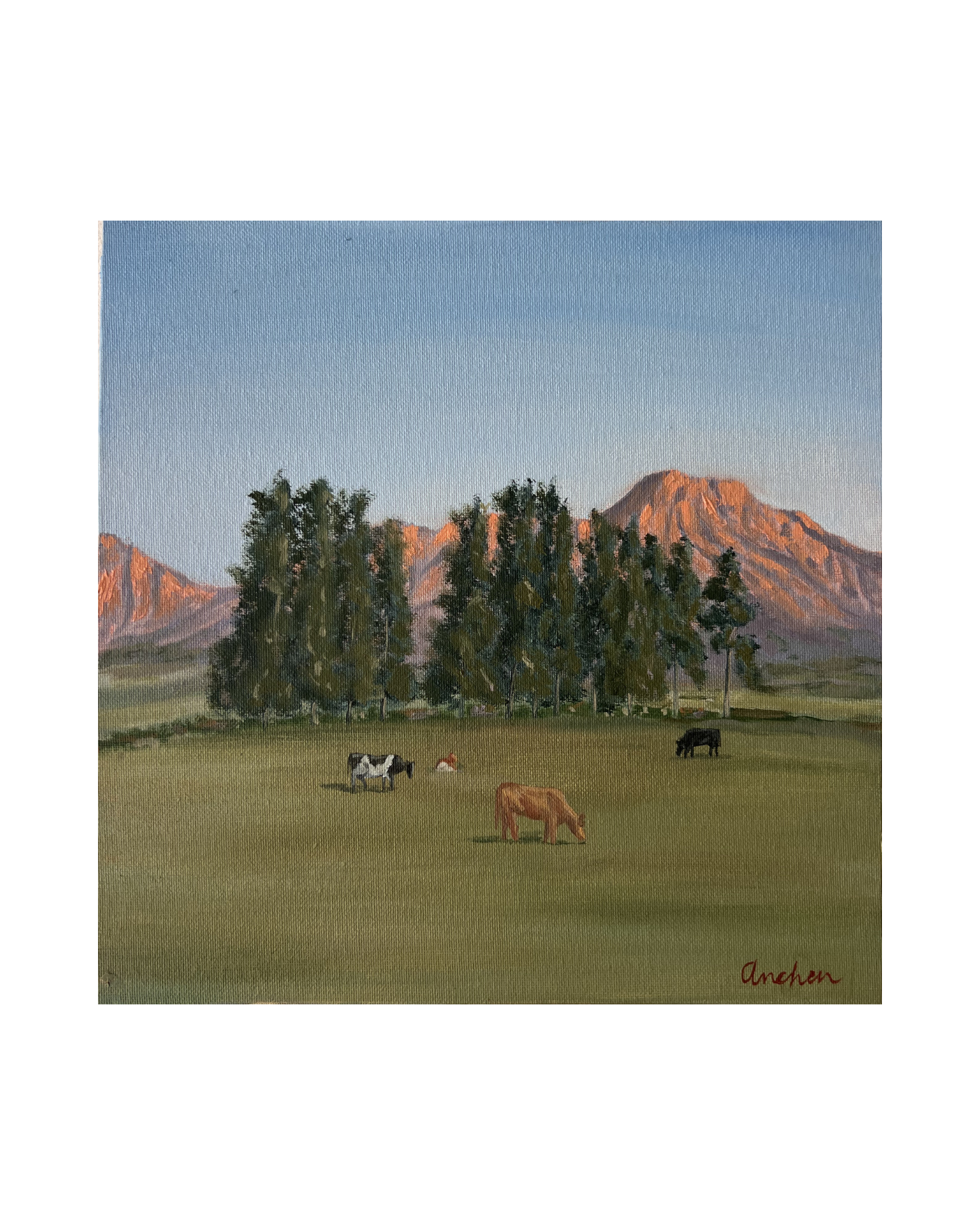 "Morning at Saronsberg" - Original (25.4 x 25.4cm)