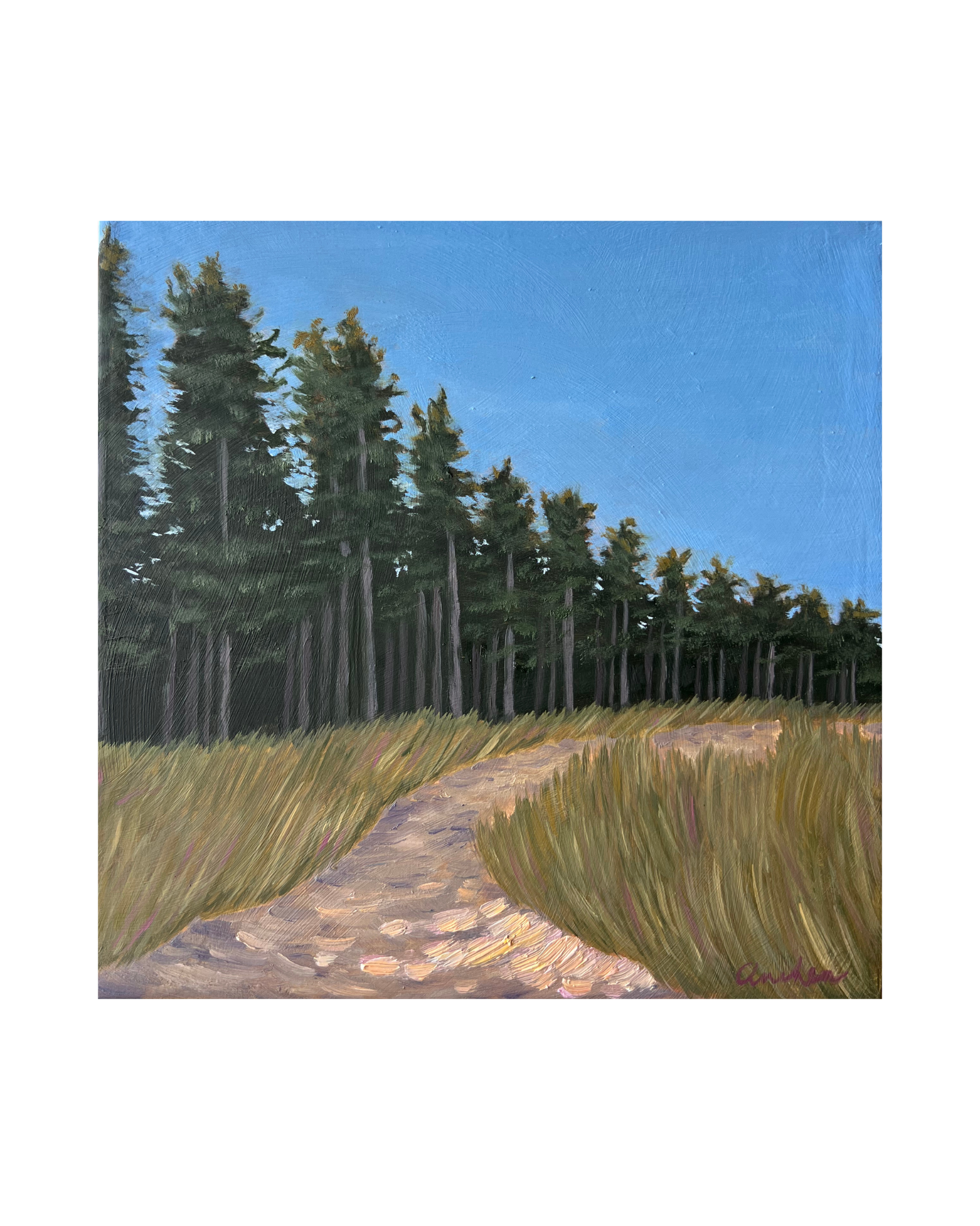 "Tokai Forest" - Original (25.4 x 25.4 cm)